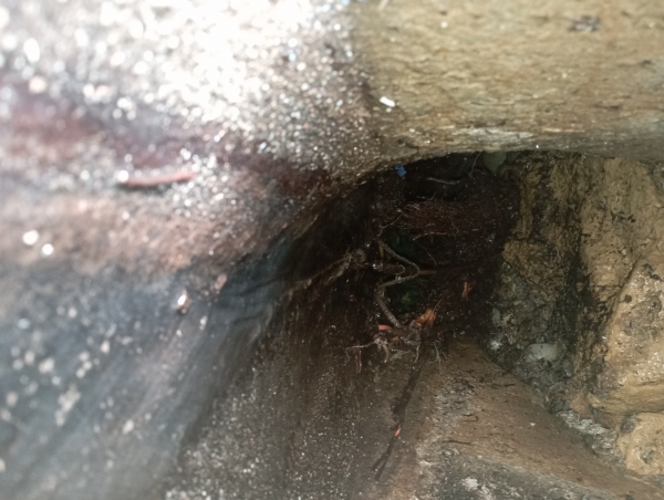 diagnostic camera canalisation diagnostic camera canalisation